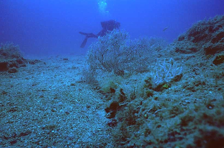 28 luce arti.jpg - ...c'è un solo modo per "dipingere" il mare:
